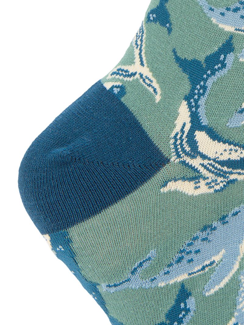 rk210031946-474-3-category-product-image