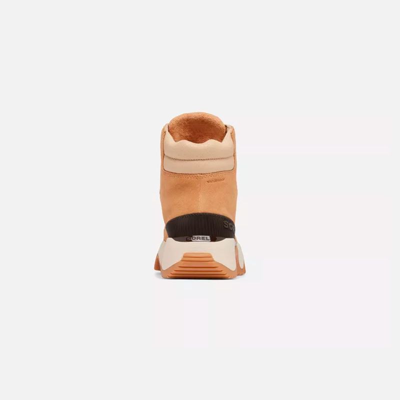 2088281-o94-3-category-product-image