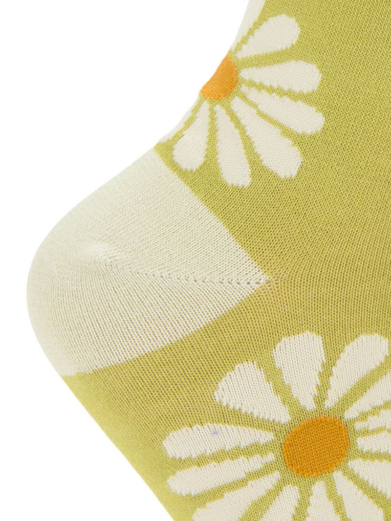 rk210031975-474-3-category-product-image