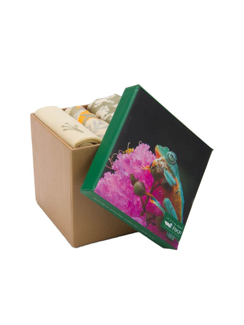 rk210031952-znn-2-category-product-image