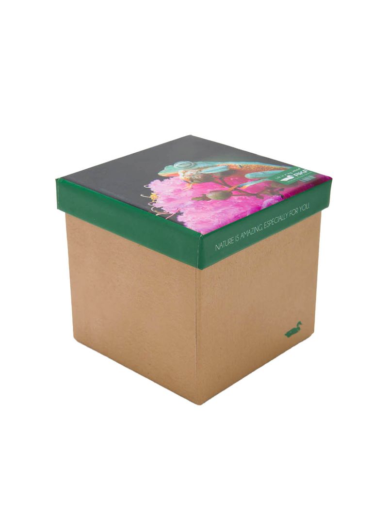 rk210031952-znn-4-category-product-image