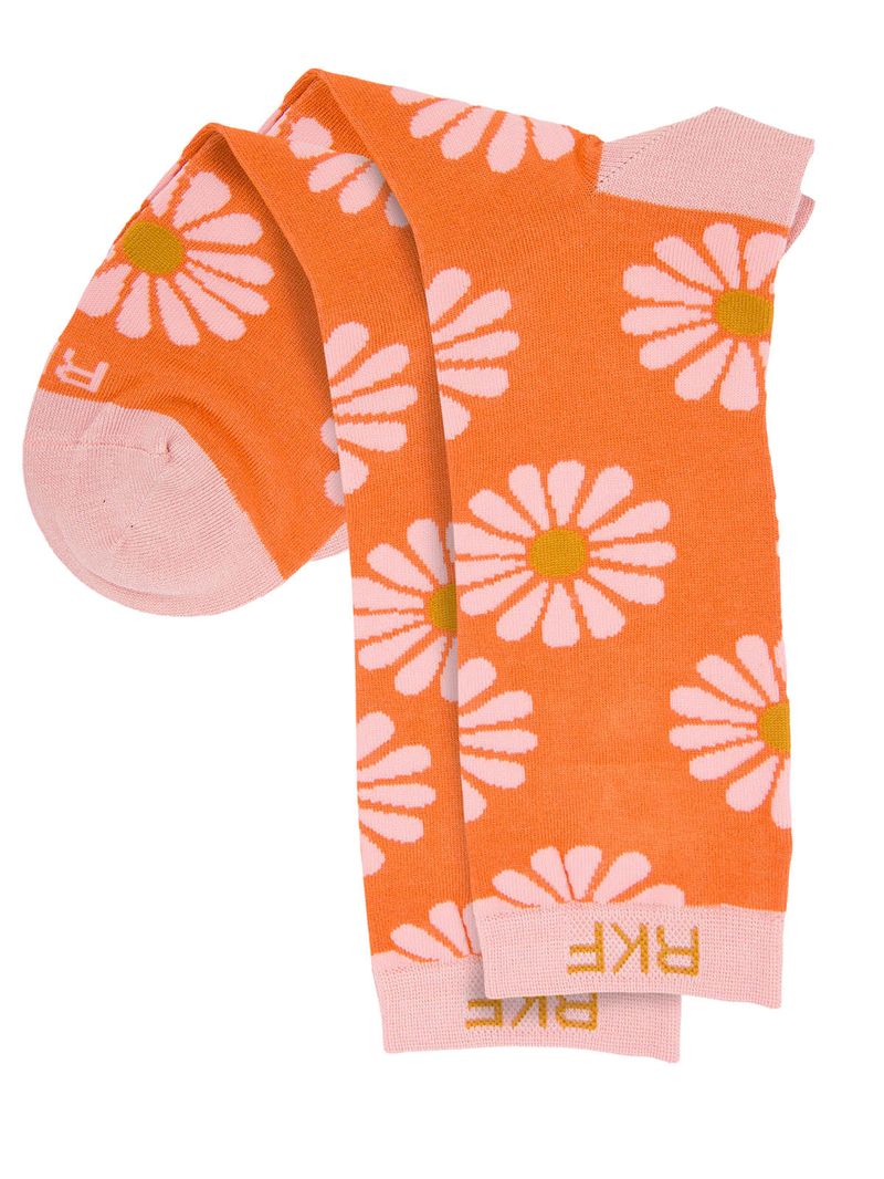 rk210031975-556-2-category-product-image